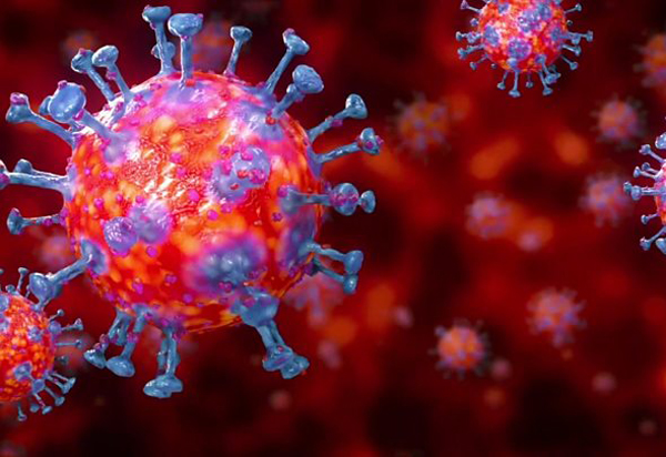 Bahia registra segundo óbito pelo novo coronavírus