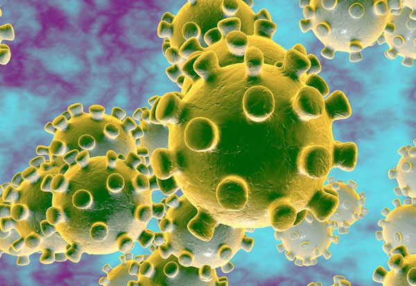 Segundo Sesab, 342 pessoas já se curaram do novo coronavírus na Bahia 