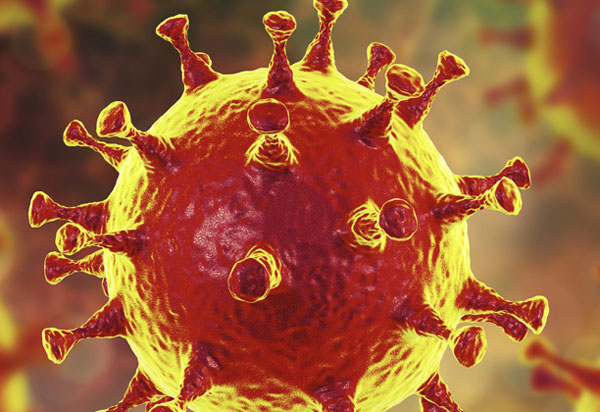 Bahia tem 16.917 casos confirmados de Covid-19