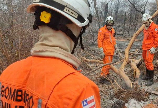 12 aeronaves e um helicóptero auxiliam no combate aos incêndios florestais no interior baiano