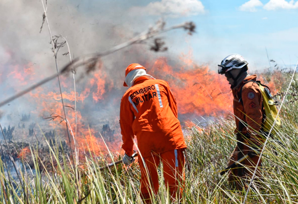 Corpo de Bombeiros lançará operação contra incêndios na Bahia