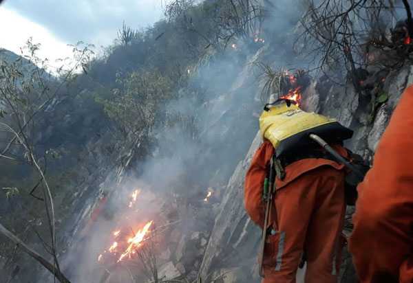 Governo da Bahia decreta situação de emergência em 73 municípios atingidos por incêndios florestais