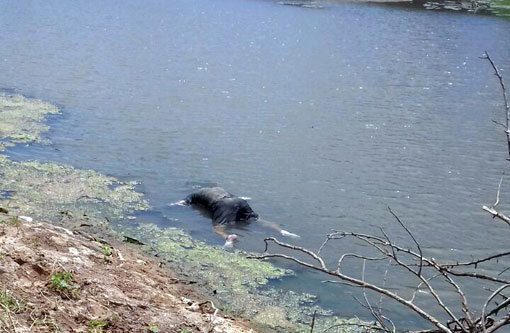 Brumado: corpo de um homem é encontrado boiando em barragem do Povoado de Correias