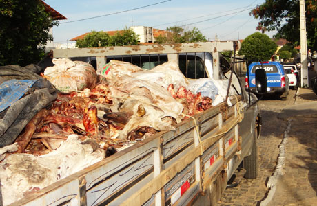 Brumado: Couros de boi clandestinos apreendidos foram roubados no aterro sanitário