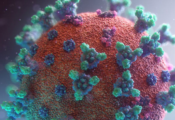 Ministério aponta 15.654 novos casos e 679 novas mortes por covid-19