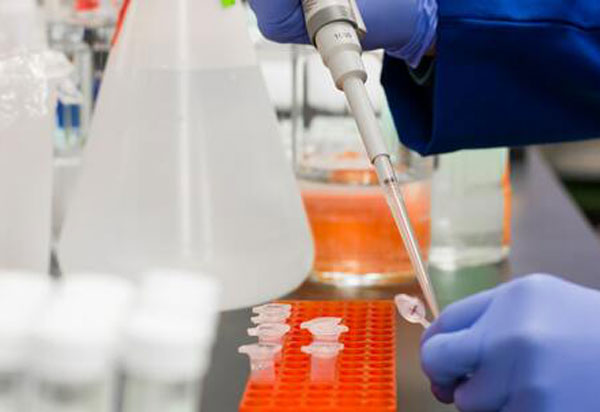 Brasil alcança marca de 80% de curados da Covid-19