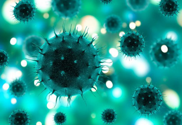 Pacientes de 95 e 82 anos são os 23º e 24º óbitos por Covid-19 na Bahia