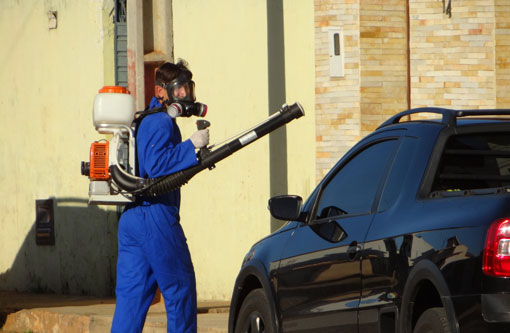 Brumado: Número de casos de dengue diminuem