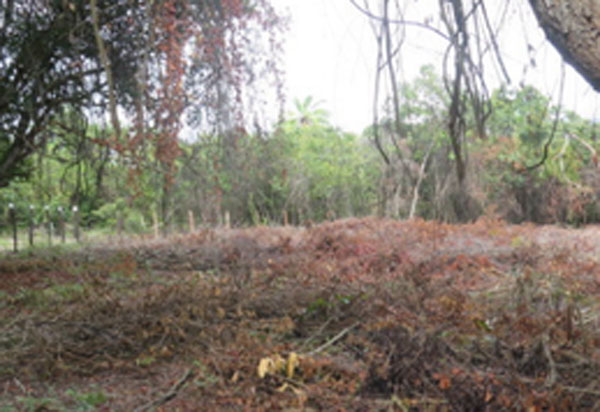 MPF processa responsáveis por construções irregulares no Parque Nacional da Chapada Diamantina