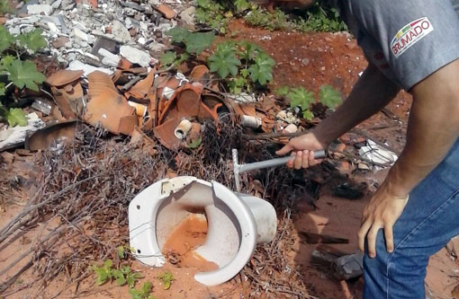 Governo pede que famílias abram suas casas para mobilização contra Aedes