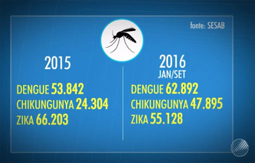 Bahia: casos de chikungunya e dengue aumentam em relação a 2015
