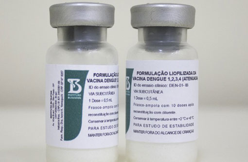 Dengue: Terá início a última fase de testes da vacina contra a doença
