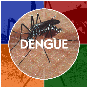 BAHIA PODE TER EPIDEMIA DE DENGUE, ALERTA SESAB