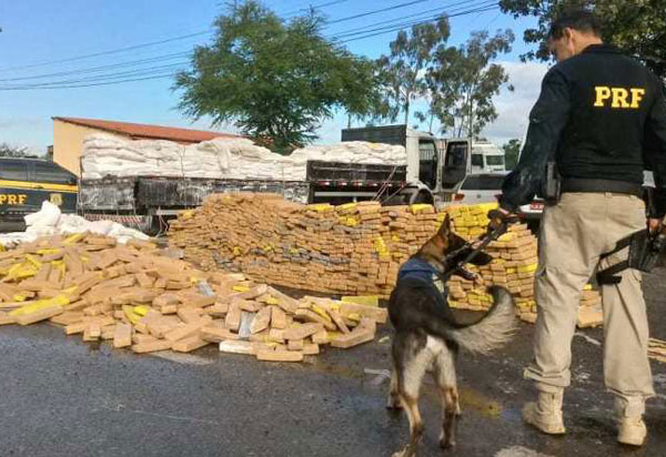 Balanço registra recorde histórico de drogas apreendidas nas estradas federais da Bahia em 2019