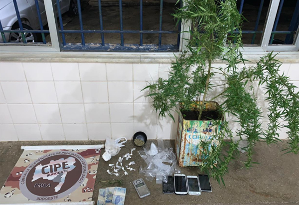 Caesg apreende cocaína e pé de maconha em Barra da Estiva