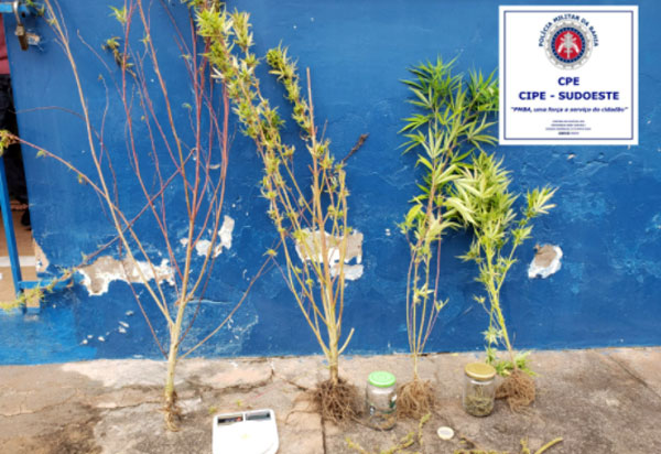 Homem é preso acusado de trafico de drogas em Barra da Estiva