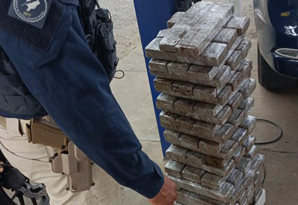 PRF apreende 65 kg de maconha em ônibus interestadual na cidade de Jequié