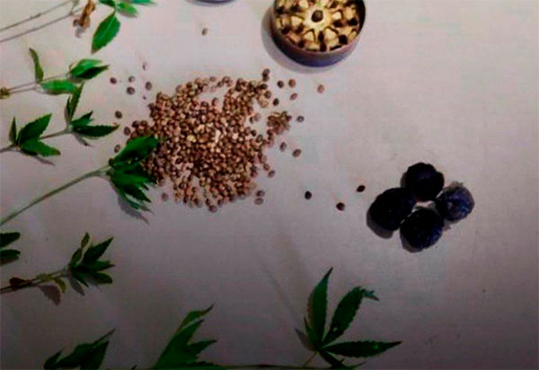 Homem é detido acusado de tráfico de drogas em Macaúbas 