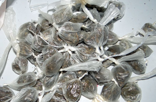 Julgamento no STF pode levar Brasil a descriminalizar porte de drogas