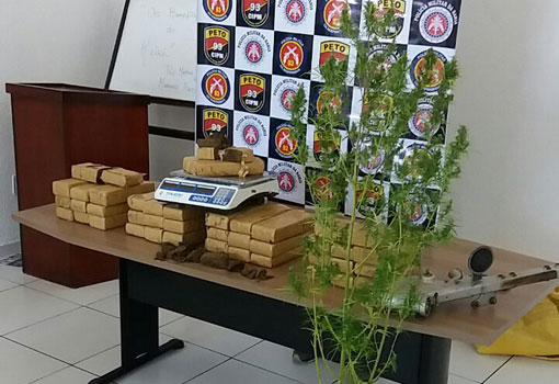 Operação policial conjunta apreende 40 kg de maconha