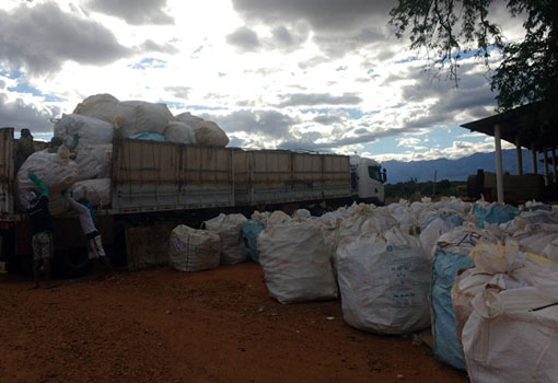 Rio de Contas, Livramento, Dom Basílio e Jussiape: Cerca de 50 mil embalagens de agrotóxicos são devolvidas