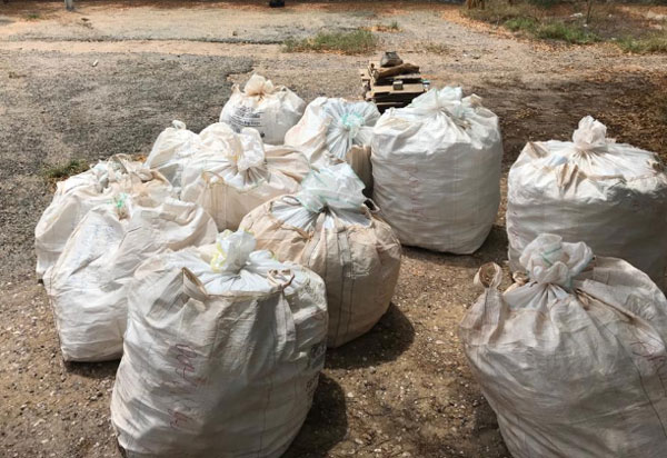 Brumado: Campanha de recolhimento captou 3.850 embalagens vazias de agrotóxicos 