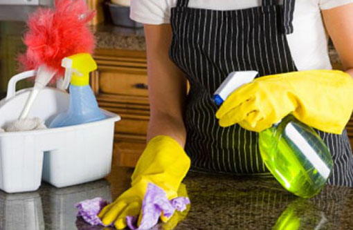 Câmara aprova regulamentação dos direitos dos empregados domésticos