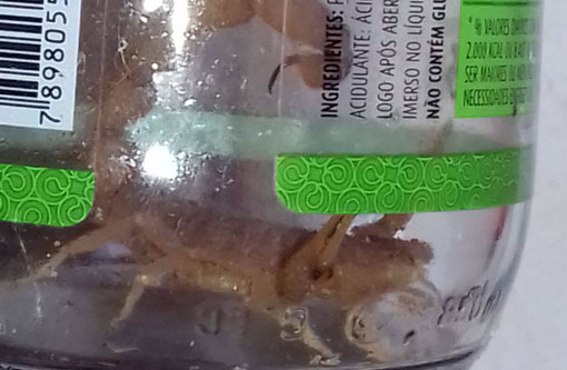 Brumado: Moradores do Bairro Jardim de Alá denunciam depósito de materiais recicláveis