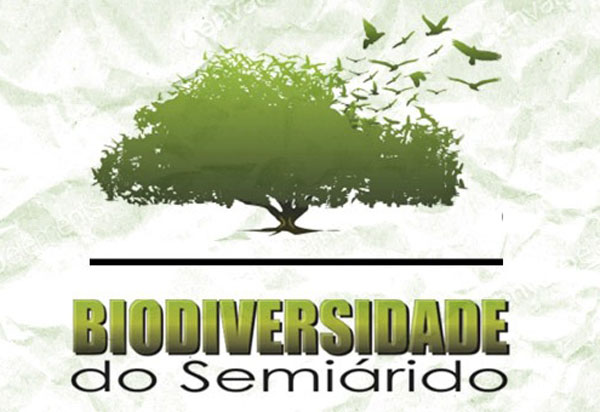 Caetité: Especialização da UNEB em Biodiversidade do Semiárido inscreve até esta sexta (11)