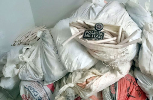 Polícia apreende mais de 3 mil explosivos no centro-sul da Bahia
