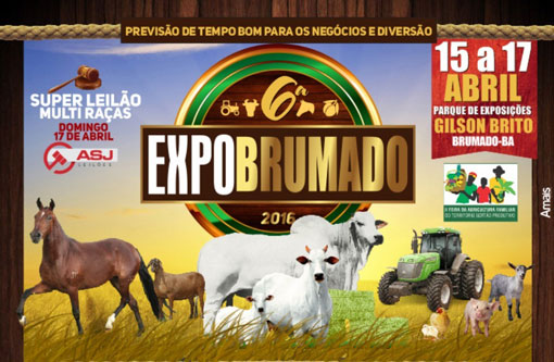 Confira a programação oficial da ExpoBrumado 2016