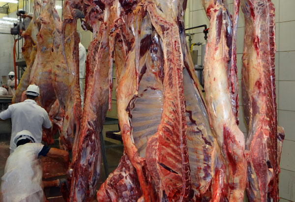 Exportação de carne brasileira cai 43% em outubro