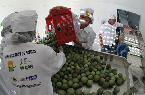 Governador inaugura indústria para processar frutas no sudoeste da Bahia
