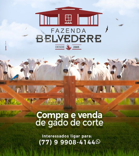 Fazenda Belvedere: Compra e vende gado de corte