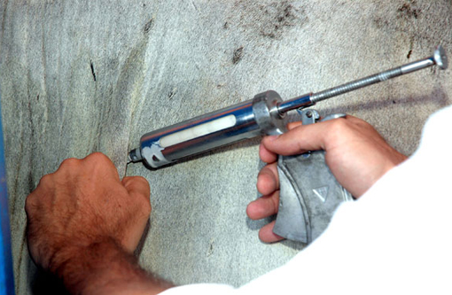 Bahia: Índice de vacinação contra a Aftosa pode chegar a 95%