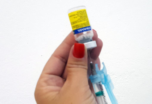 Bahia: Três casos de febre amarela são investigados