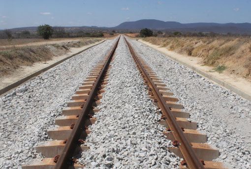 Fiol é incluída em programa de prioridade do governo federal