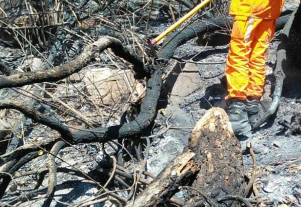 Bombeiros militares combatem incêndio florestal em Érico Cardoso