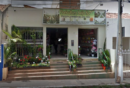 Presentei sua mãe com as belíssimas opções da Floricultura Beija Flor 