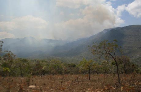 CHAPADA: INCÊNDIO ATINGE PICO MAIS ALTO DA BAHIA