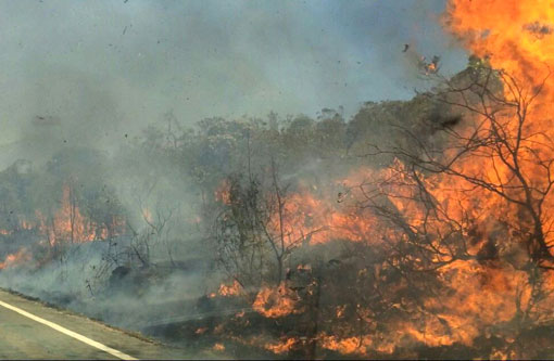 Incêndio de grandes proporções na Serra das Almas entre Livramento e Rio de Contas 
