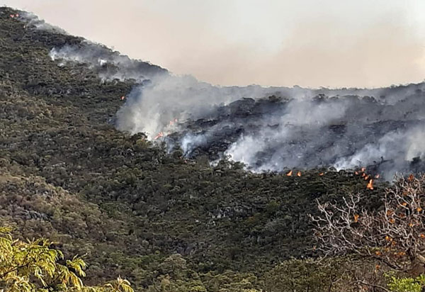 Incêndio de grande proporção atinge a Serra das Almas, em Rio de Contas