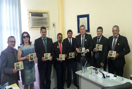 Brumado: vereadores recebem carteiras de identidade parlamentar