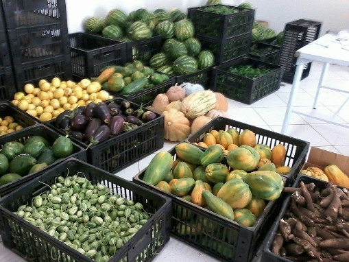 Brumado: Prefeitura incentiva Agricultura Familiar