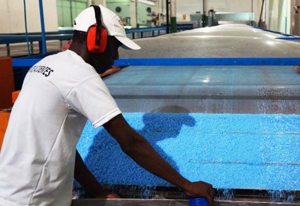 Empresas anunciam R$ 24 milhões em investimentos para ampliar e modernizar fábricas na Bahia 