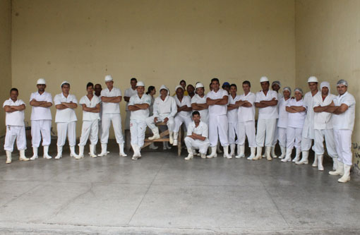 Proprietário do Matadouro e Frigorífico de Brumado diz que população está consumindo carne clandestina