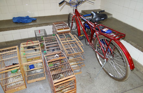 Brumado: Polícia apreende armas na casa de bandido que tomou arma de policial Civil