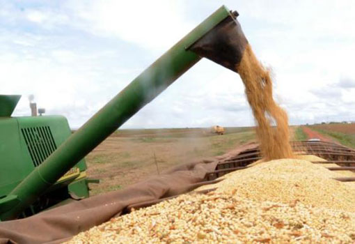 Produtor pode solicitar recursos do Plano Safra 2017/2018 a partir de hoje