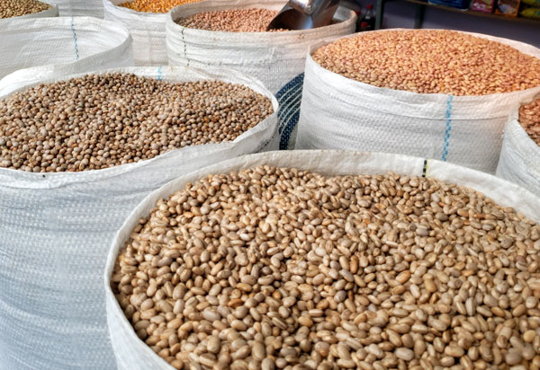 Governo baiano comemora previsão de nova safra recorde de grãos em 2022 