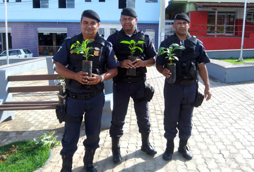 Brumado: Guarda Municipal promove o plantio de mudas de árvores em praças da cidade